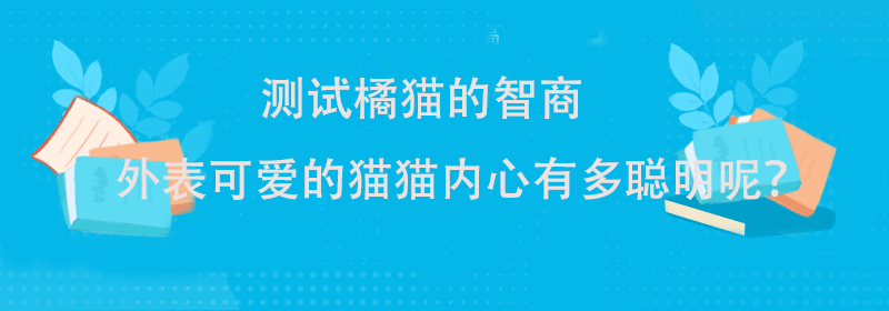 智力测试