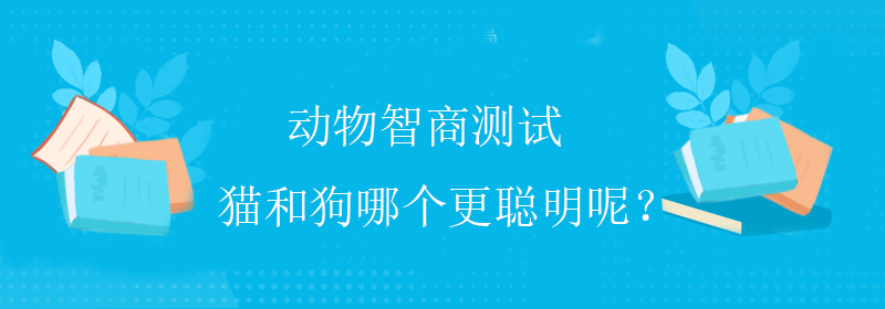 趣味智商测试