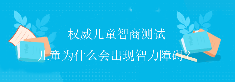 权威智商测试