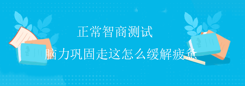 国际智商测试