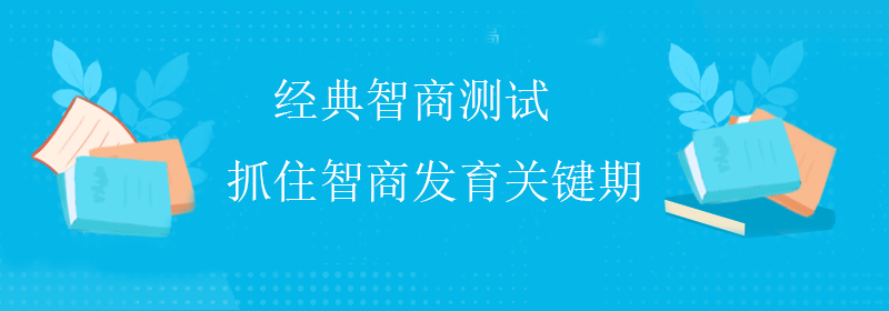 精英智商测试